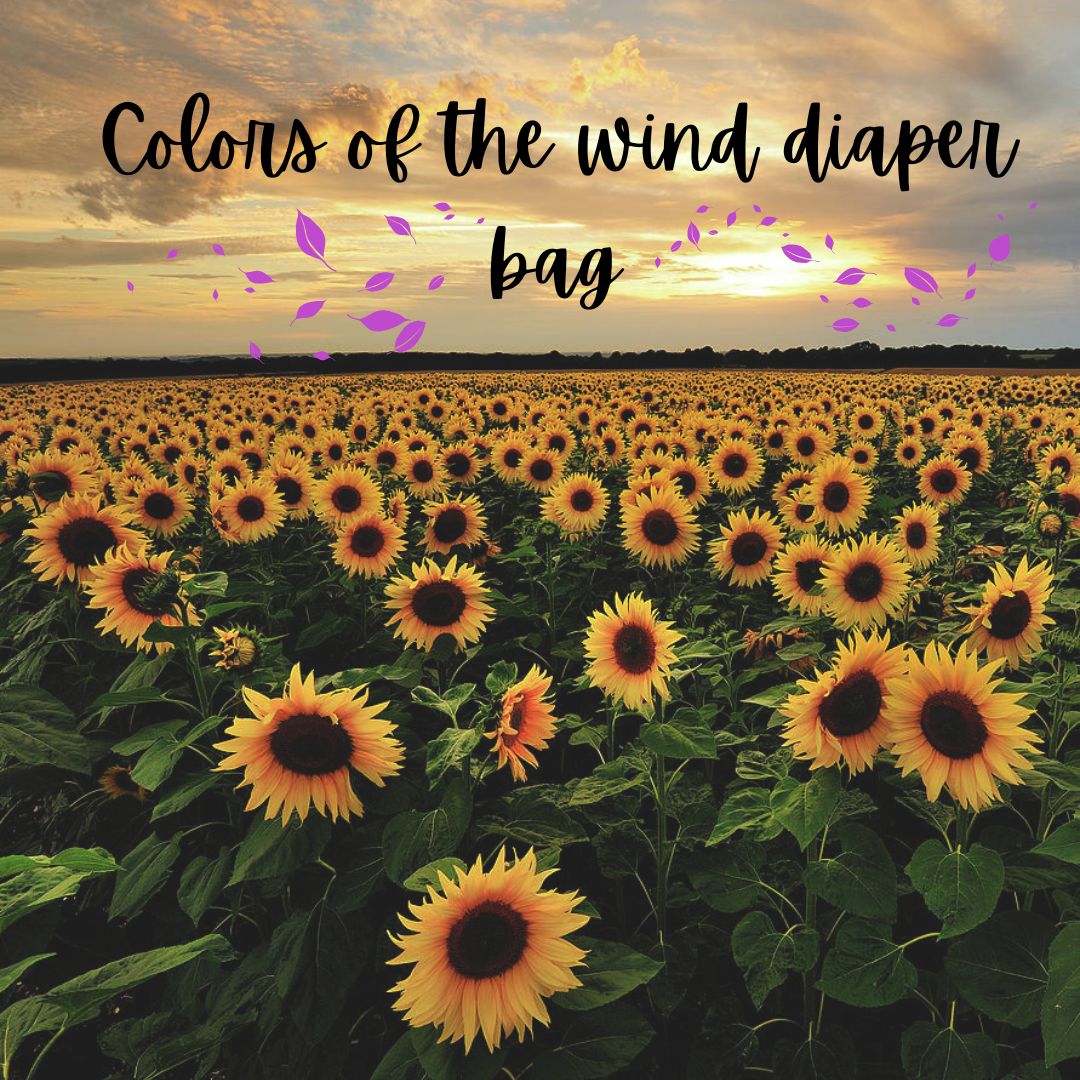 Colors of the wind diaper bag